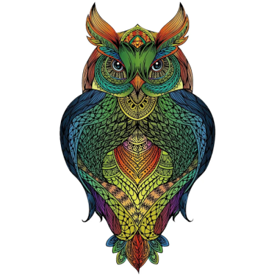 Rainbow Wooden Puzzle Hibou - 137 pièces