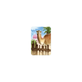 Jaipur - Jeu de société stratégique