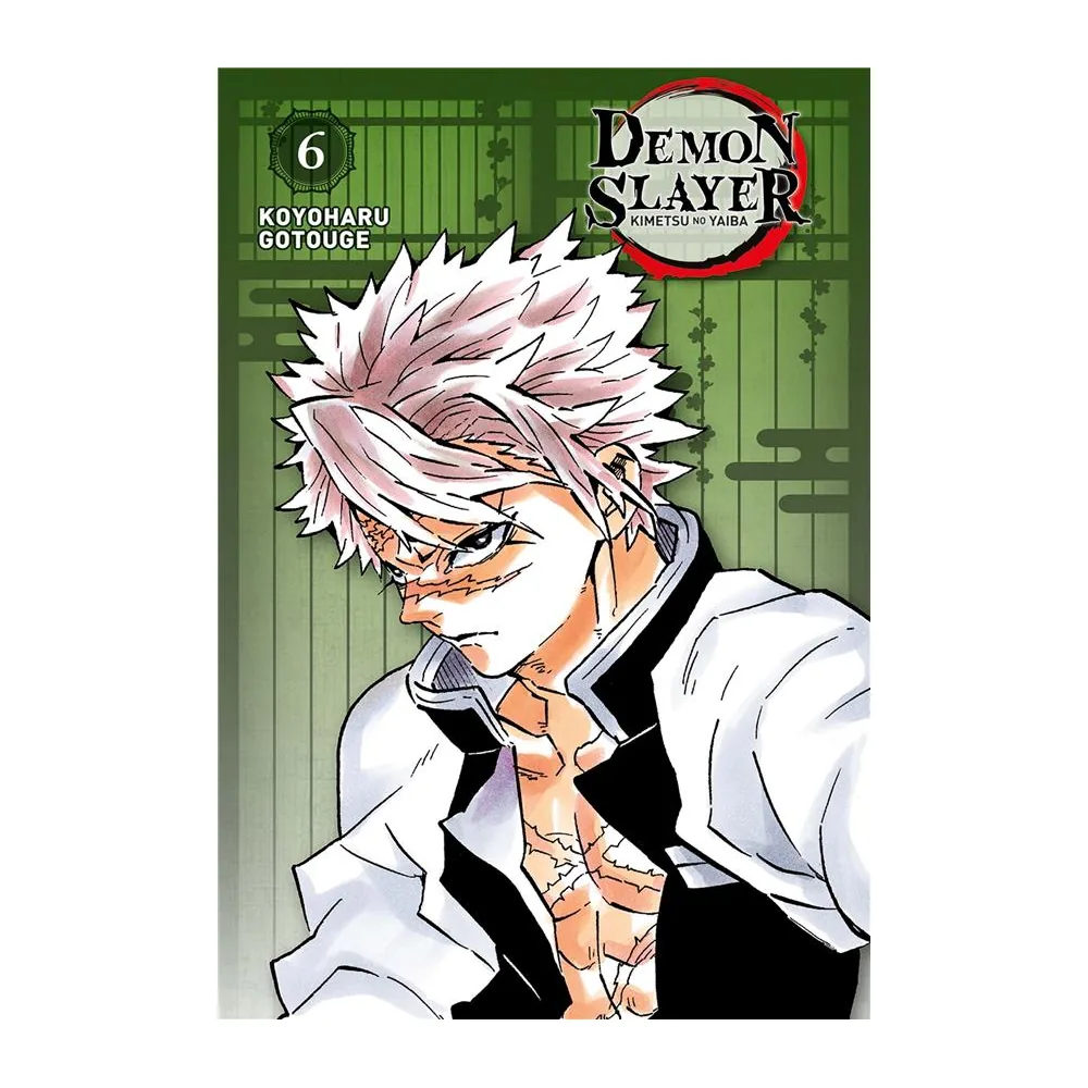 Demon Slayer - Edition Pilier T06