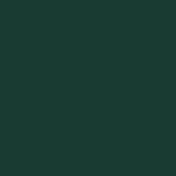 Vert Carapace - Scurvy Green - Game Air 18ml (Vallejo)