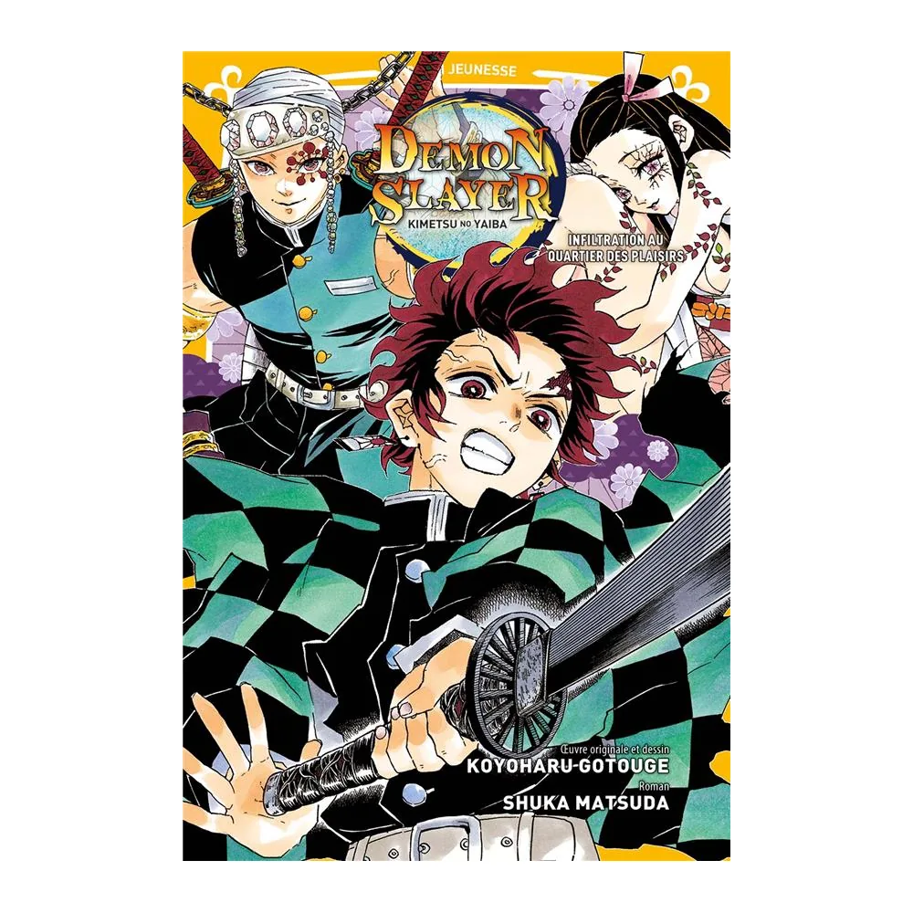 Demon Slayer - Roman Jeunesse T04