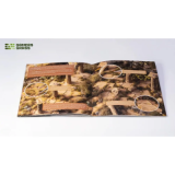 Mediterranean Temple Basing Box - Gamers Grass