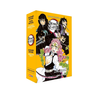 Coffret Demon Slayer T12 + Roman Jeunesse T05