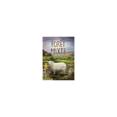 Forêt Mixte : Dartmoor