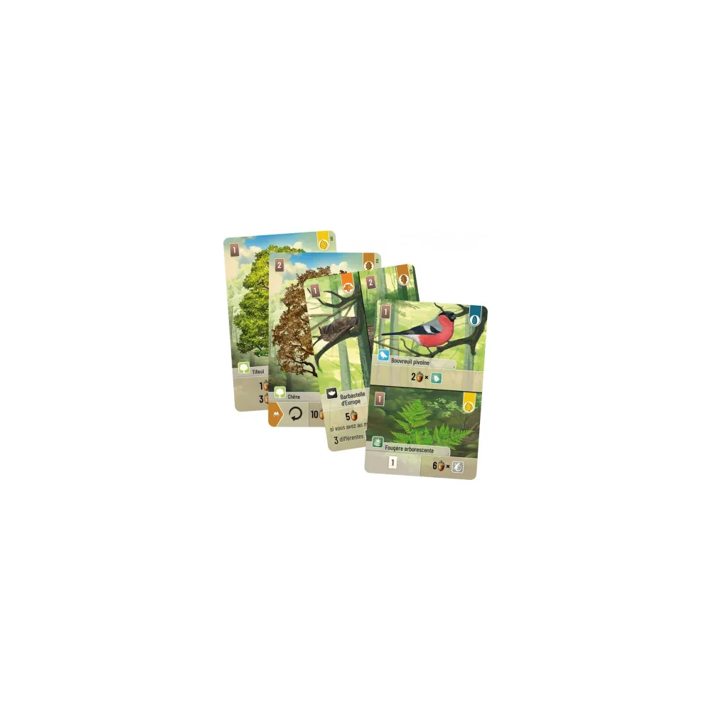 Forêt Mixte - Jeu de cartes écosystème