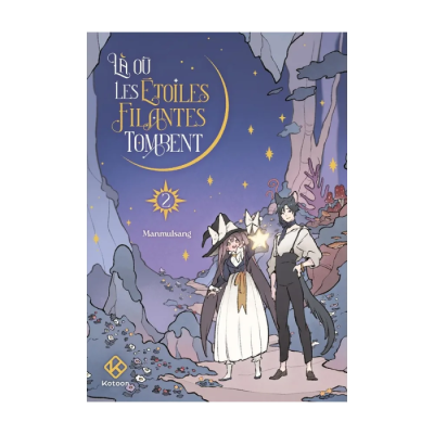 Là où les étoiles filantes tombent - Tome 2