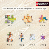 Puzzle 250 pièces Types de Pokémon - Nathan