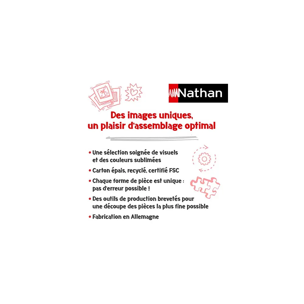 Puzzle 250 pièces Types de Pokémon - Nathan