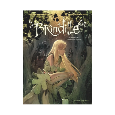 Brindille - Tome 01 : Les Chasseurs d'Ombre