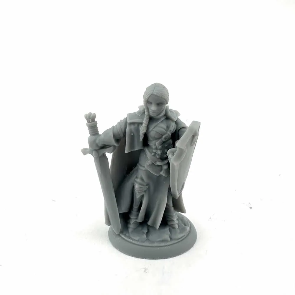 Isabeau Laroche, Female Paladin - Reaper Dungeon Dwellers