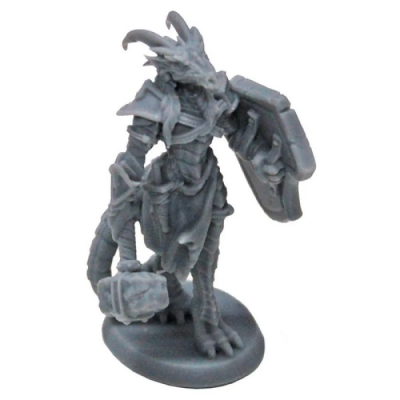 Figurine JDR Reaper - Paladin Draconique 25mm