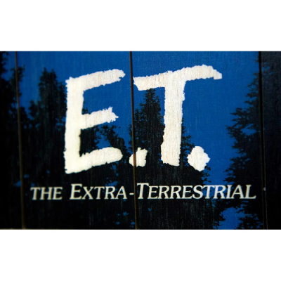 Panneau Bois 3D E.T. l'extra-terrestre - Moon 30x40cm