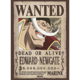 One Piece - Poster Wanted Whitebeard 52x38 cm