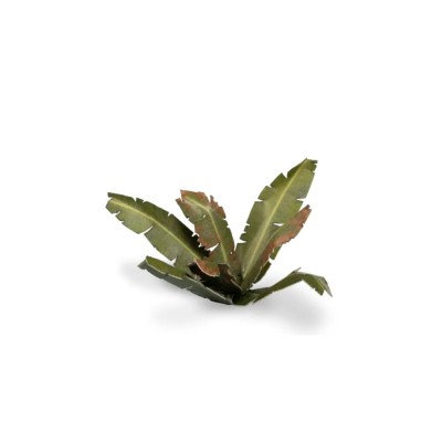 Laser Plants - Banana Tree