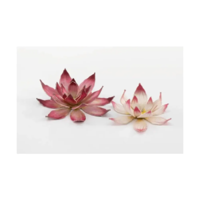 Laser Plants - Lotus Flower