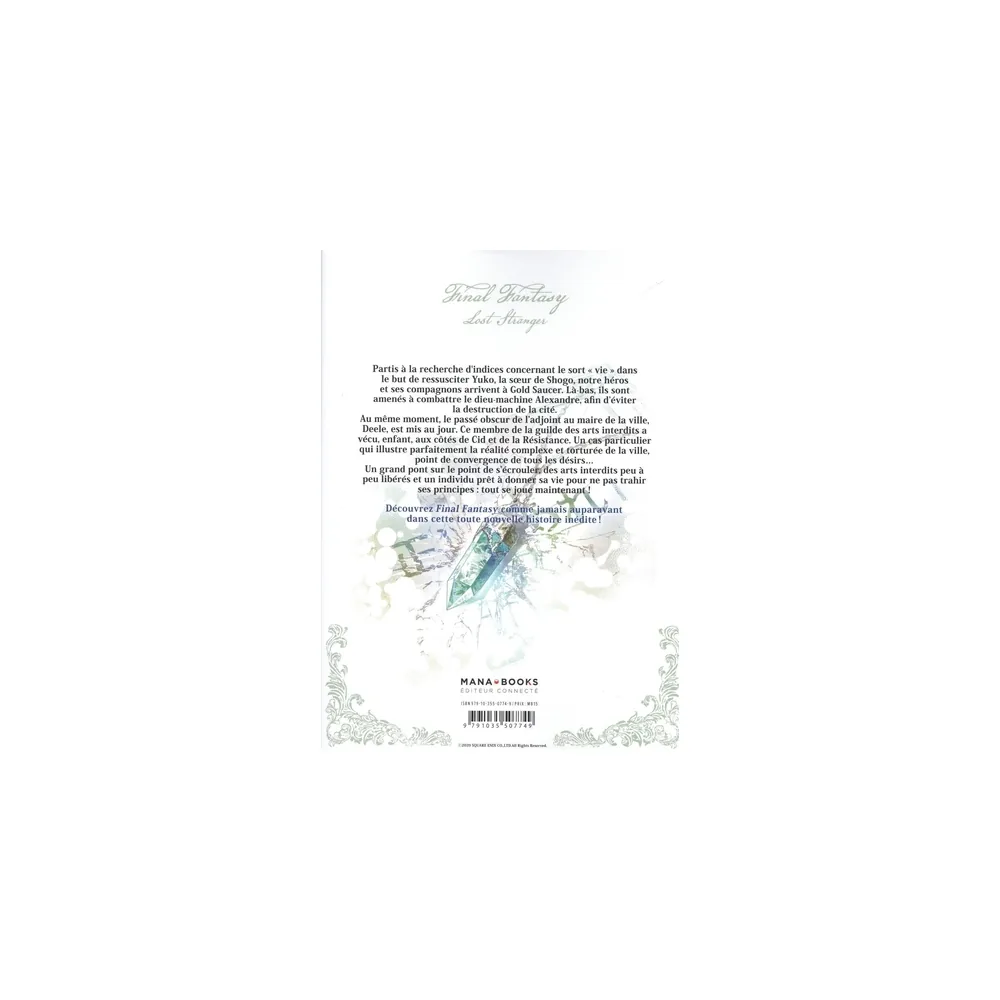 Final Fantasy Lost Stranger Tome 13