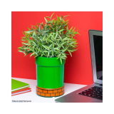 Super Mario - Tuyau Warp Pipe - Pot à Plantes et à Stylos en Céramique