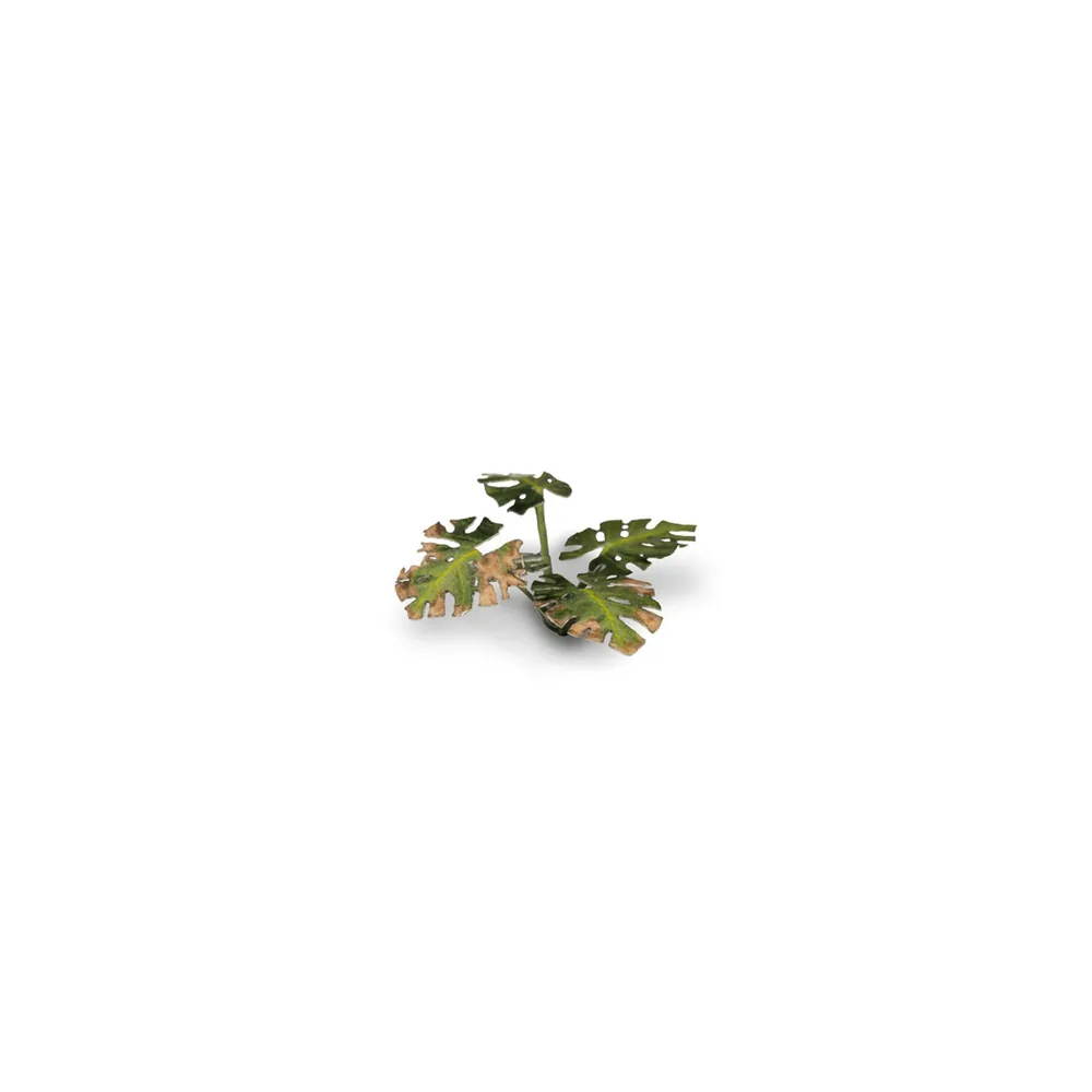 Laser Plants - Monstera - Gamers Grass