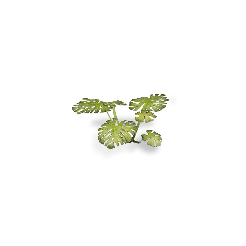 Laser Plants - Monstera - Gamers Grass