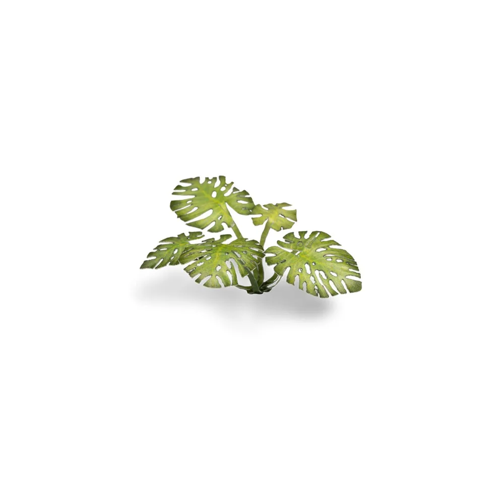 Laser Plants - Monstera - Gamers Grass