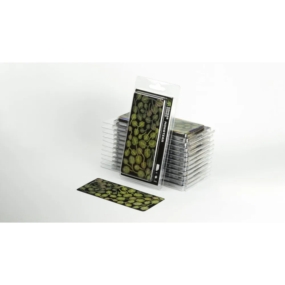 Laser Plants - Monstera - Gamers Grass