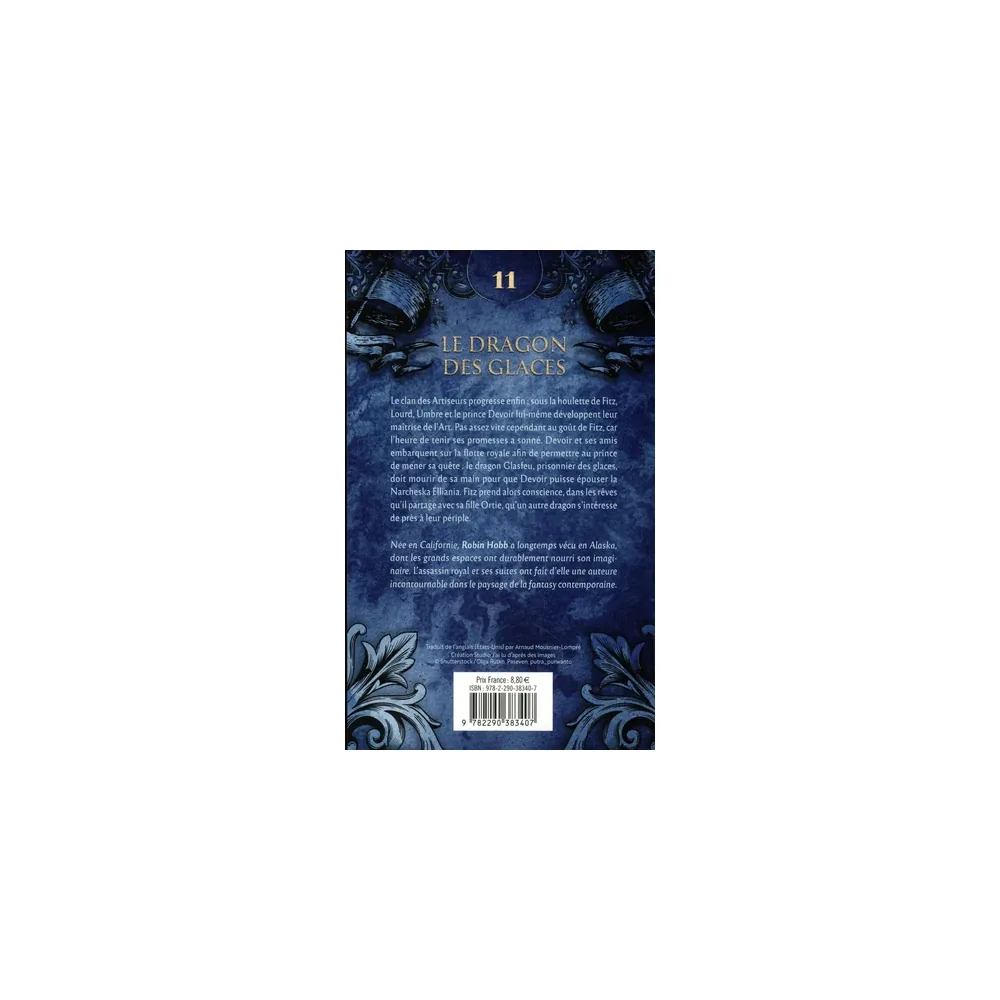 L'Assassin Royal - Tome 11 - Le Dragon des Glaces