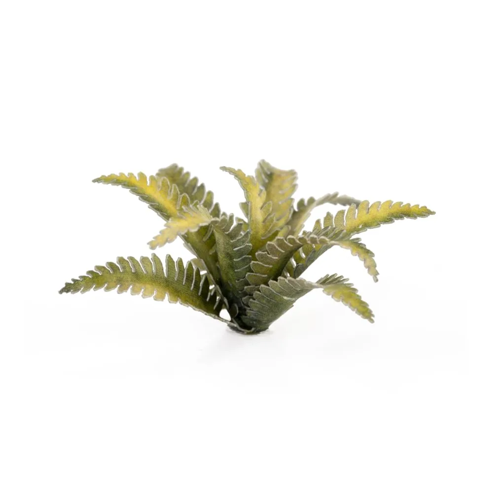 Laser Plants - Deer Fern - Gamers Grass