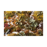 Laser Plants - Bugloss
