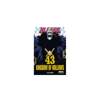 Bleach - Tome 43 : Kingdom of Hollows