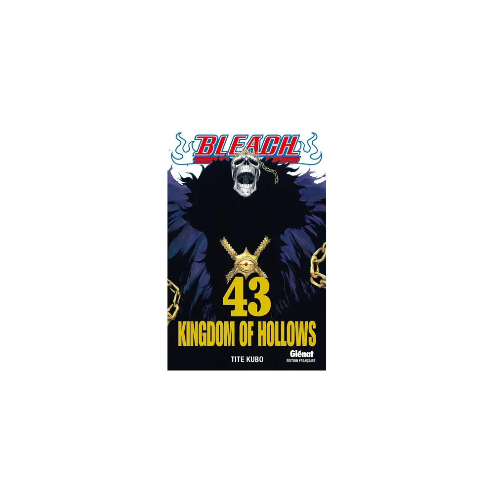 Bleach - Tome 43 : Kingdom of Hollows