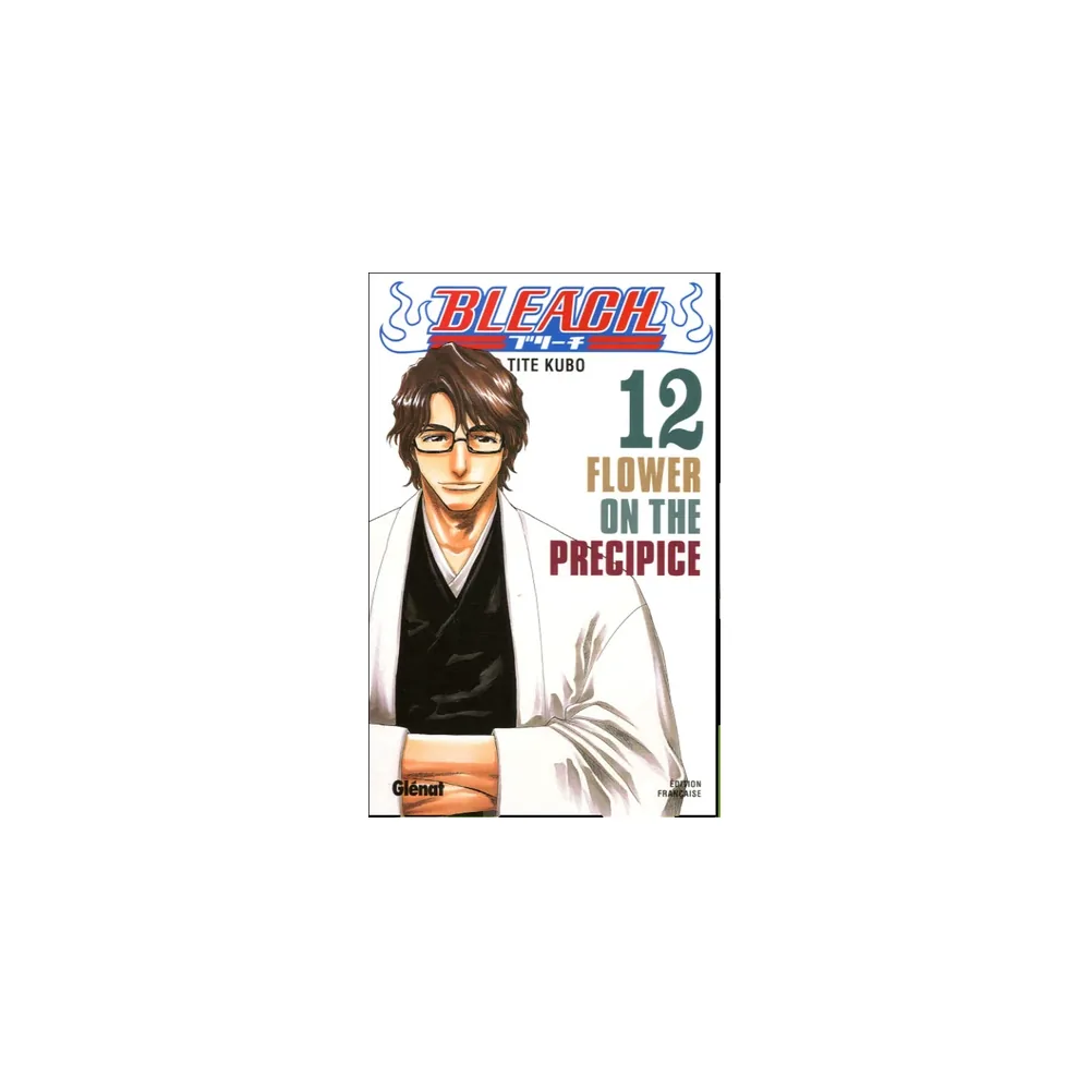 Bleach - Tome 12