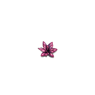 Laser Plants - Alien Rosette