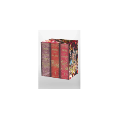 One Piece - Coffret Vide Dressrosa (Tomes 71 à 80)