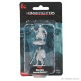 D&D Nolzur's Marvelous Miniatures : Human Fighters