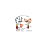 Colle pour Plastique - Army Painter