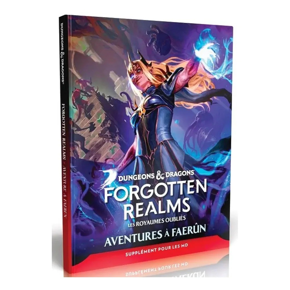 Dungeons & Dragons - Forgotten Realms : Aventures à Faerûn - Guide du maître - Couverture rigide - Français