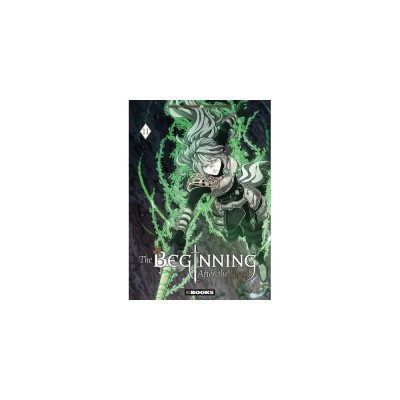 The Beginning After the End - Tome 11