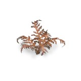 Gamers Grass Laser Plants - Dry Bracken