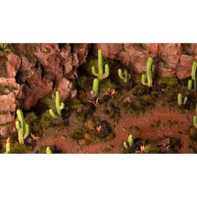 Basing Bits - Saguaro Cacti