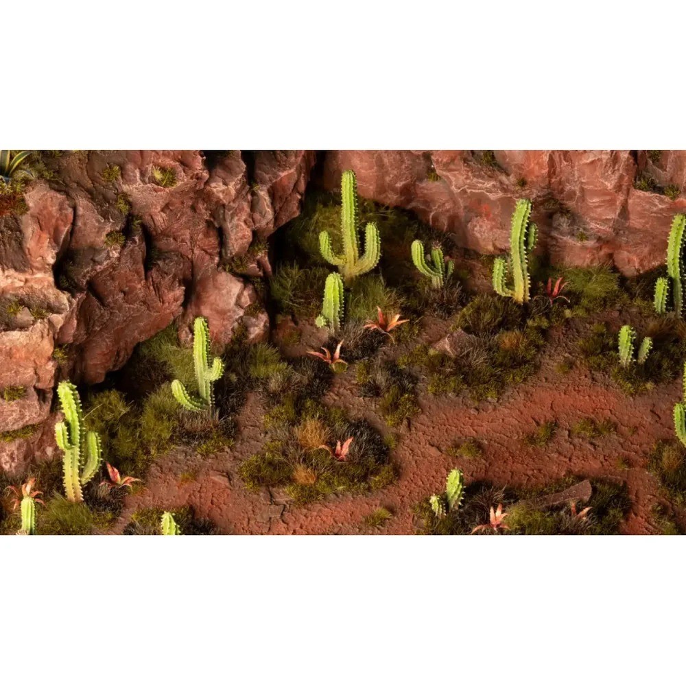 Basing Bits - Saguaro Cacti