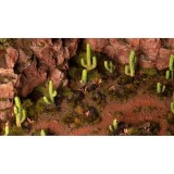 Basing Bits - Saguaro Cacti