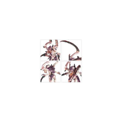Warhammer 40K : Bondisseurs de Von Ryan - Tyranides