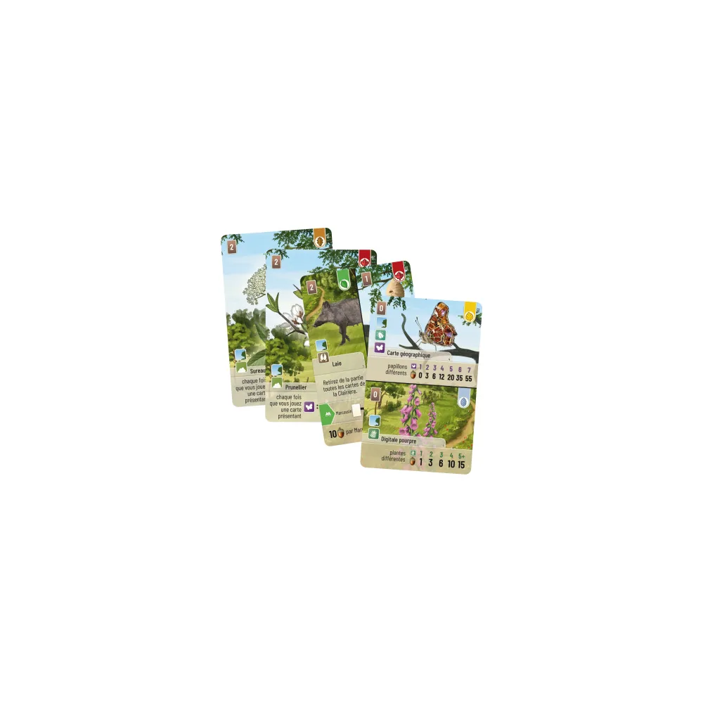 Forêt Mixte : Extension Lisière de Forêt