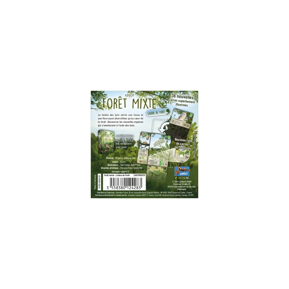 Forêt Mixte : Extension Lisière de Forêt