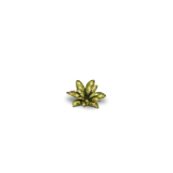 Laser Plants - Dumb Cane - Gamers Grass