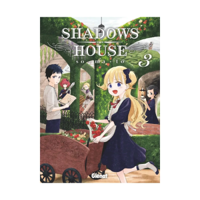 Shadows House T03