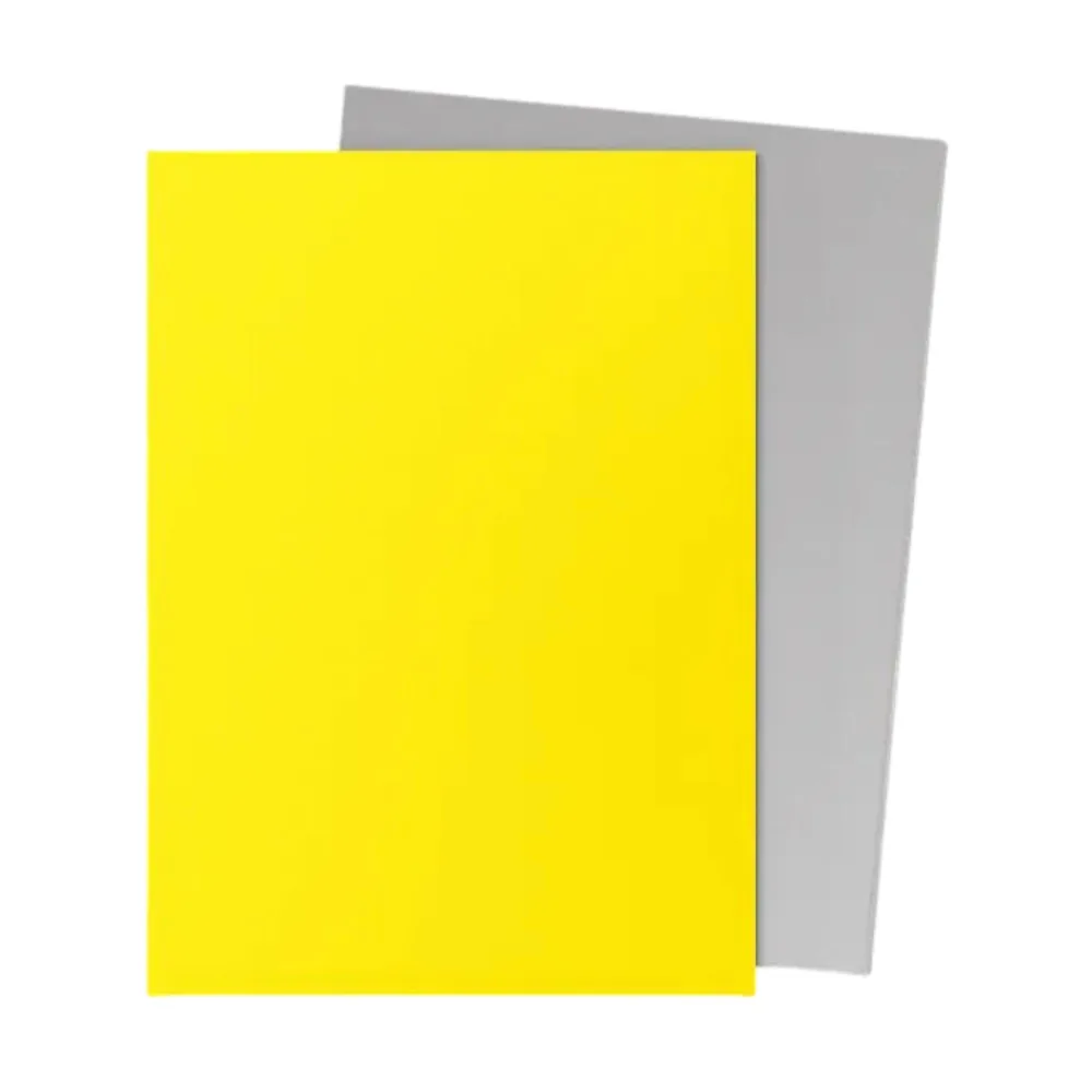 Dragon Shield Matte Dual Yellow & Silver - 100 Sleeves Standard