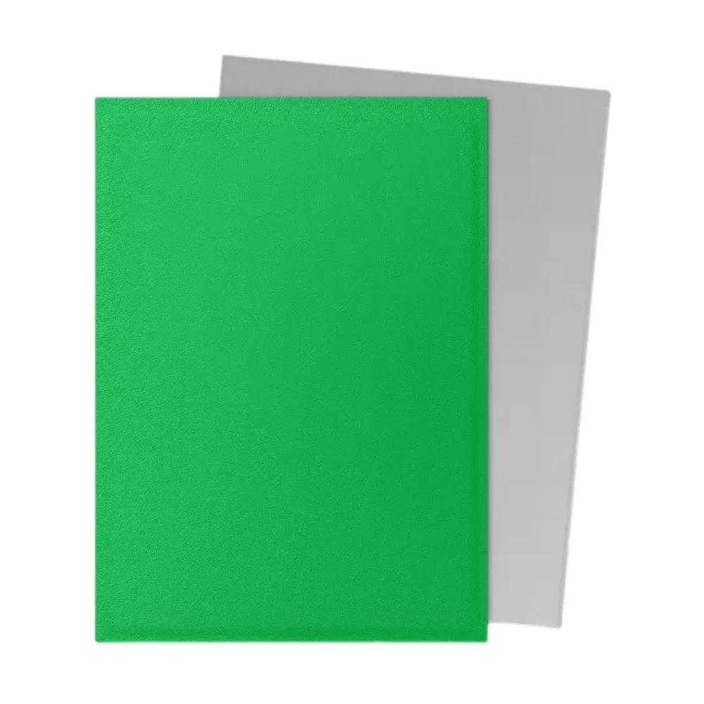 Dragon Shield Matte Dual Standard - Apple Green & Silver (100)