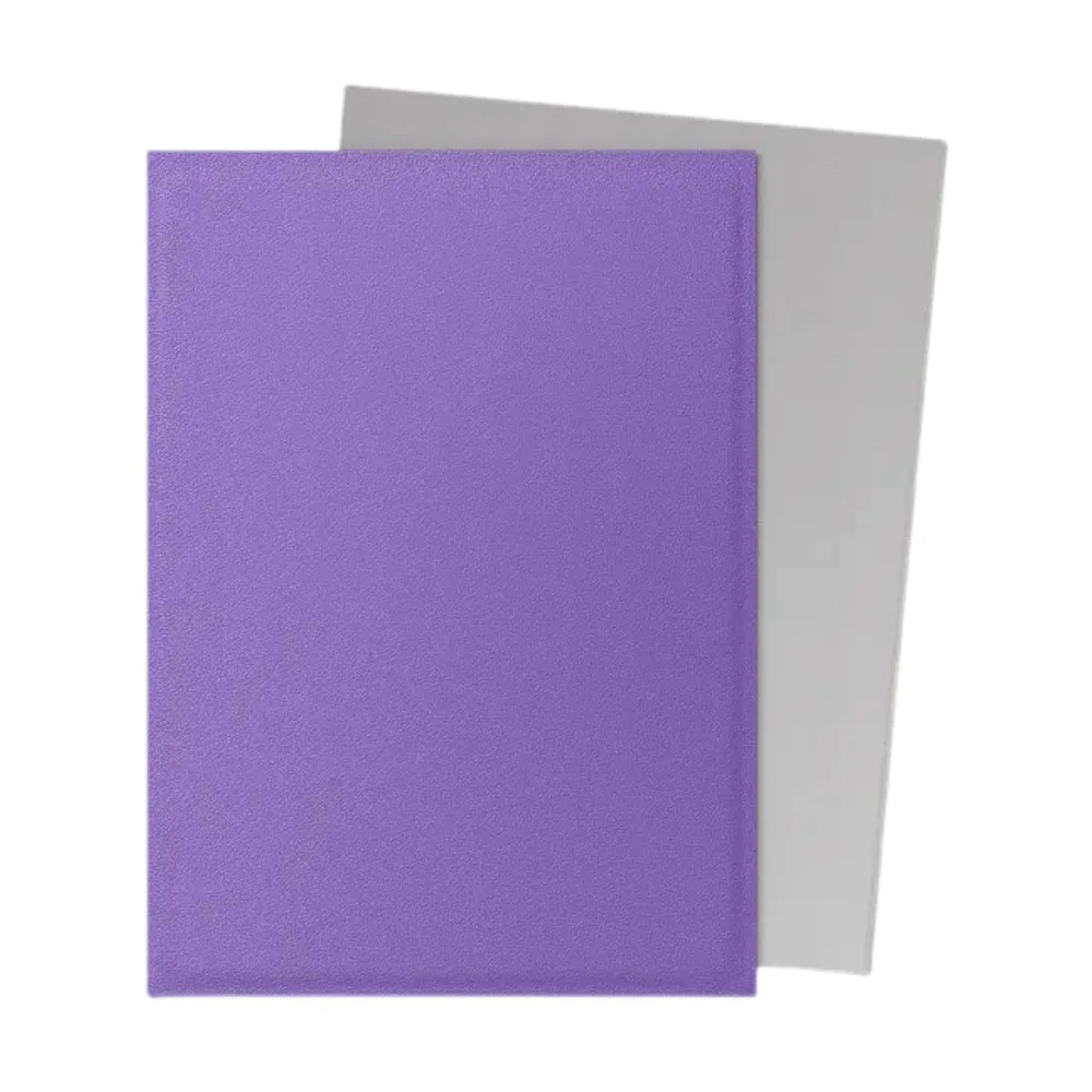 Pochettes Dual Sleeves Standard Nebula & Silver - Matte (100)
