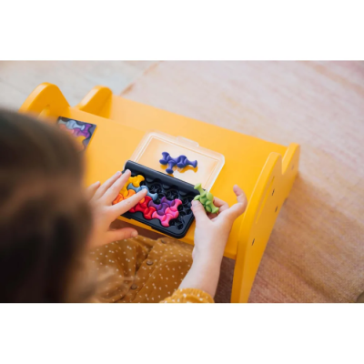 IQ Waves - Casse-tête Solo Smart Games